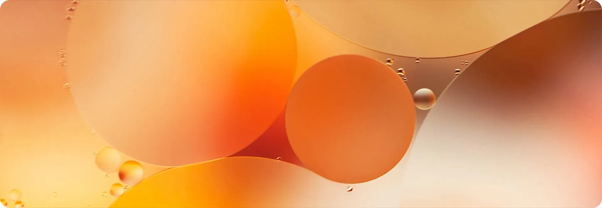 HealthTech technology leadership