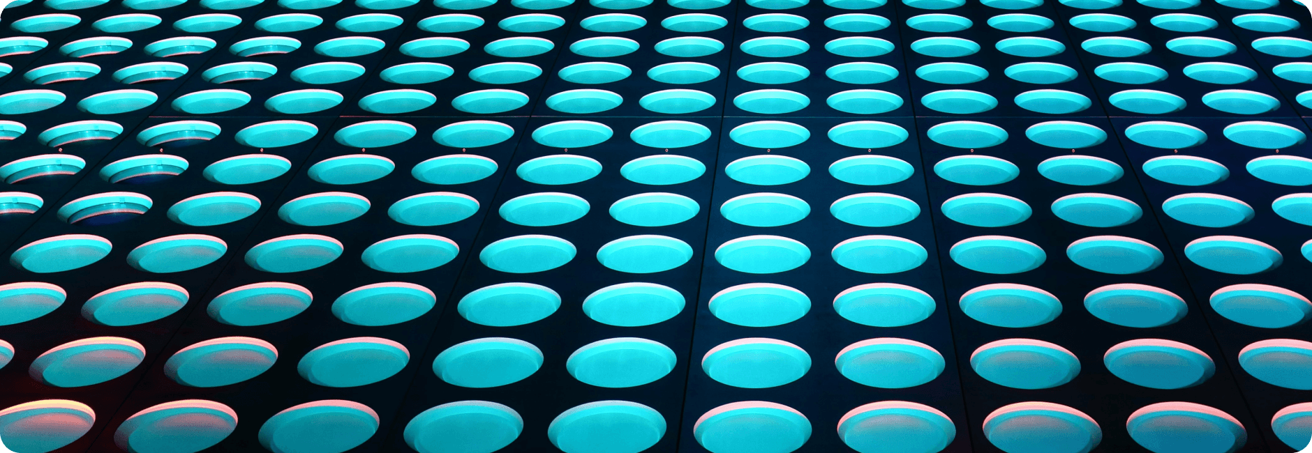 Technology leadership for portfolio companies